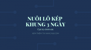 Lô kép là gì? Cách nuôi lô kép khung 3 ngày chính xác nhất