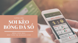 Hướng dẫn đọc kèo báo (soi kèo) báo bóng đá số và báo giấy